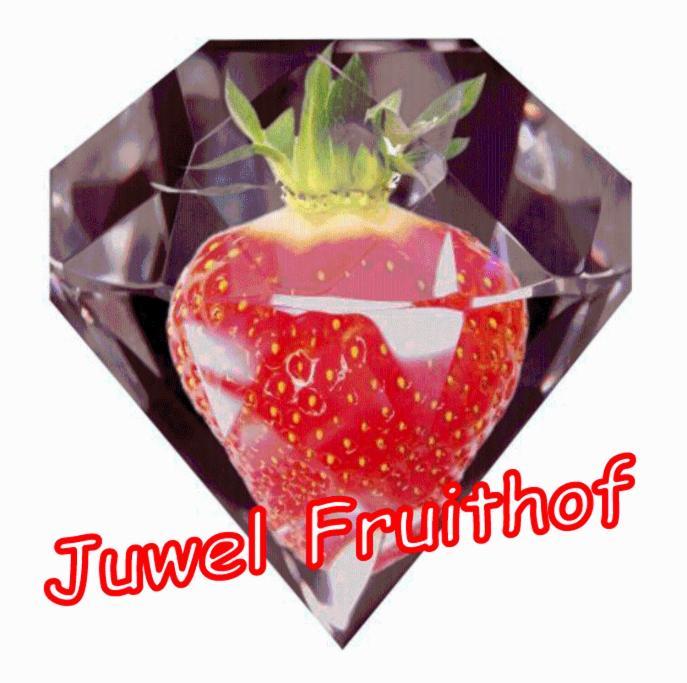 ZepperenJuwel Fruithofアパートメント 部屋 写真